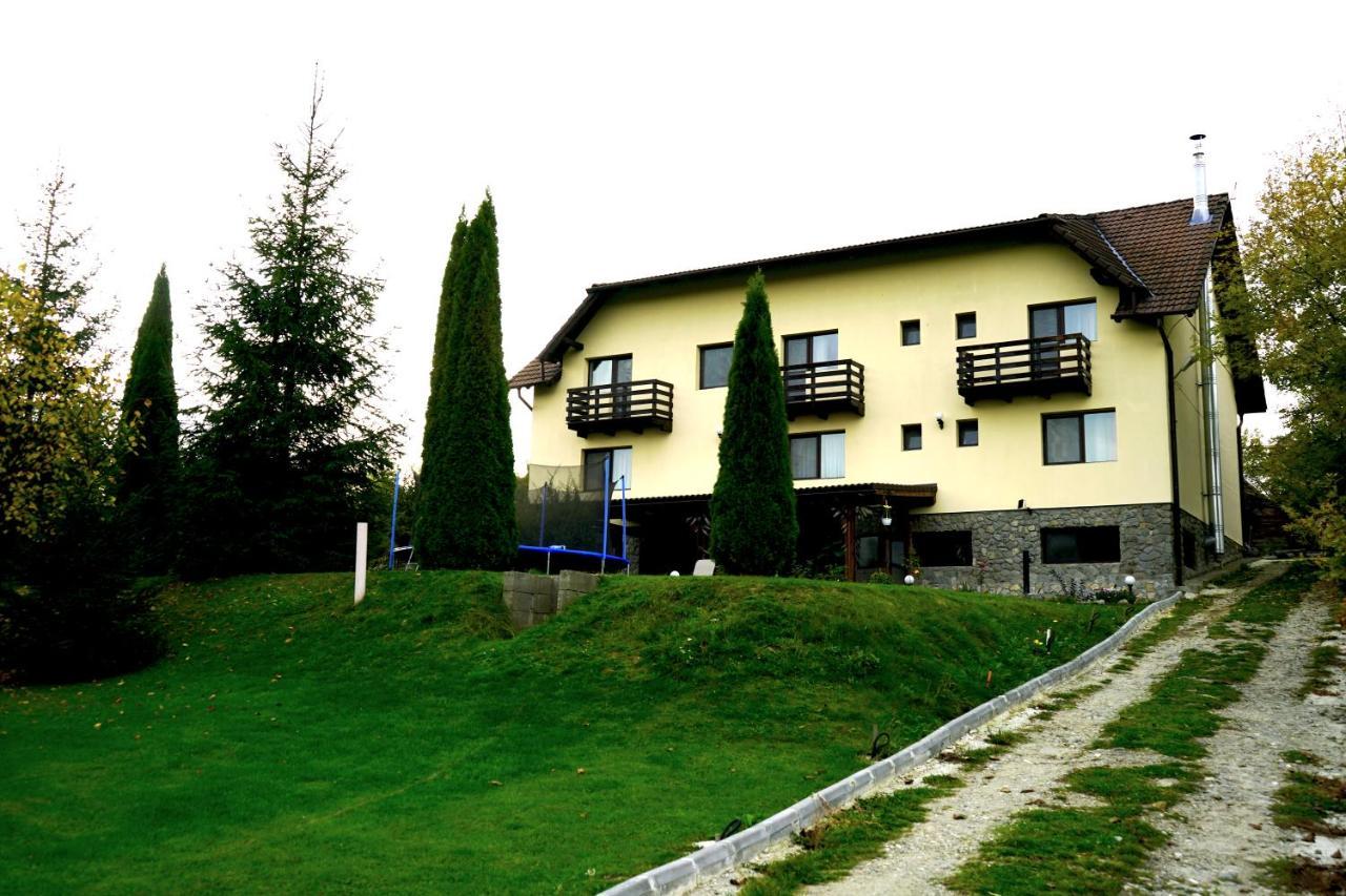 Vila Sohodol Travel Bran  Exterior photo