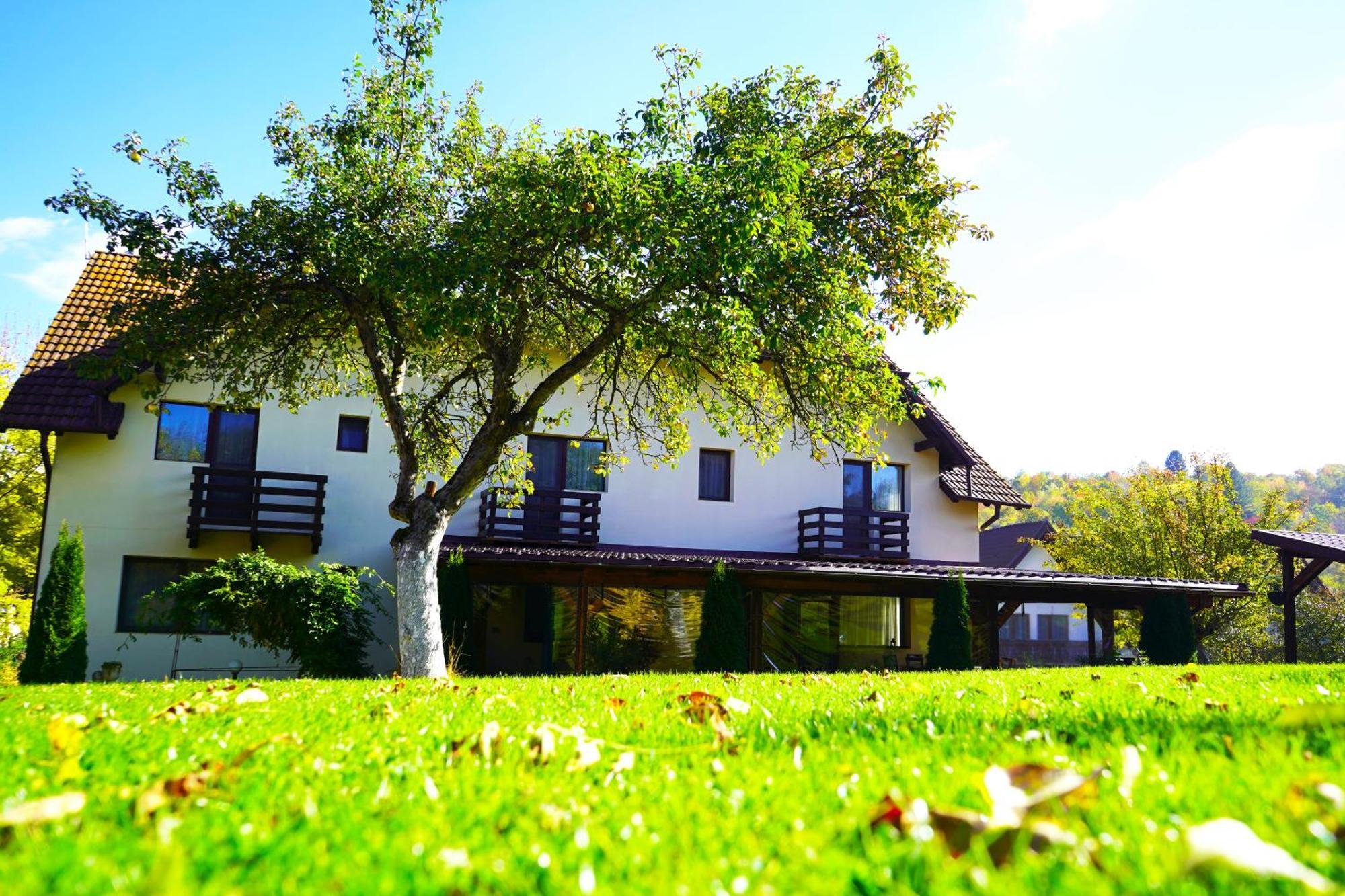 Vila Sohodol Travel Bran  Exterior photo